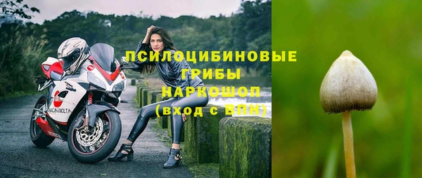 первитин Алексеевка