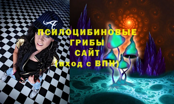 первитин Алексеевка