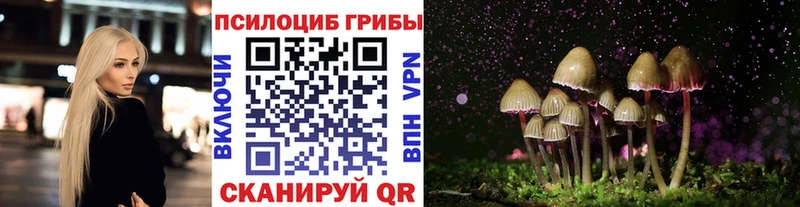 OMG ONION Павлово Псилоцибиновые грибы Cubensis